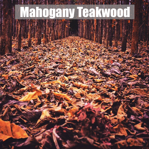 mahoganyteakwood_1804162843