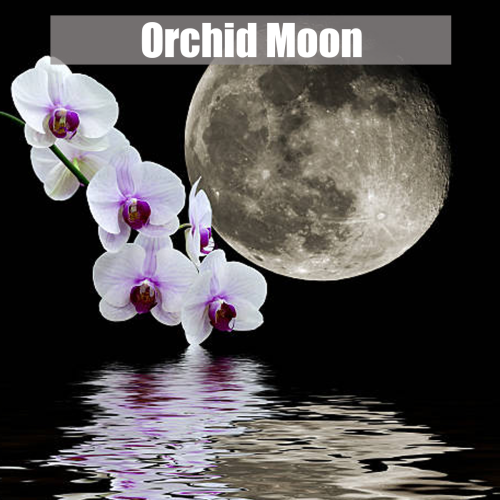 orchidmoon_1289700061